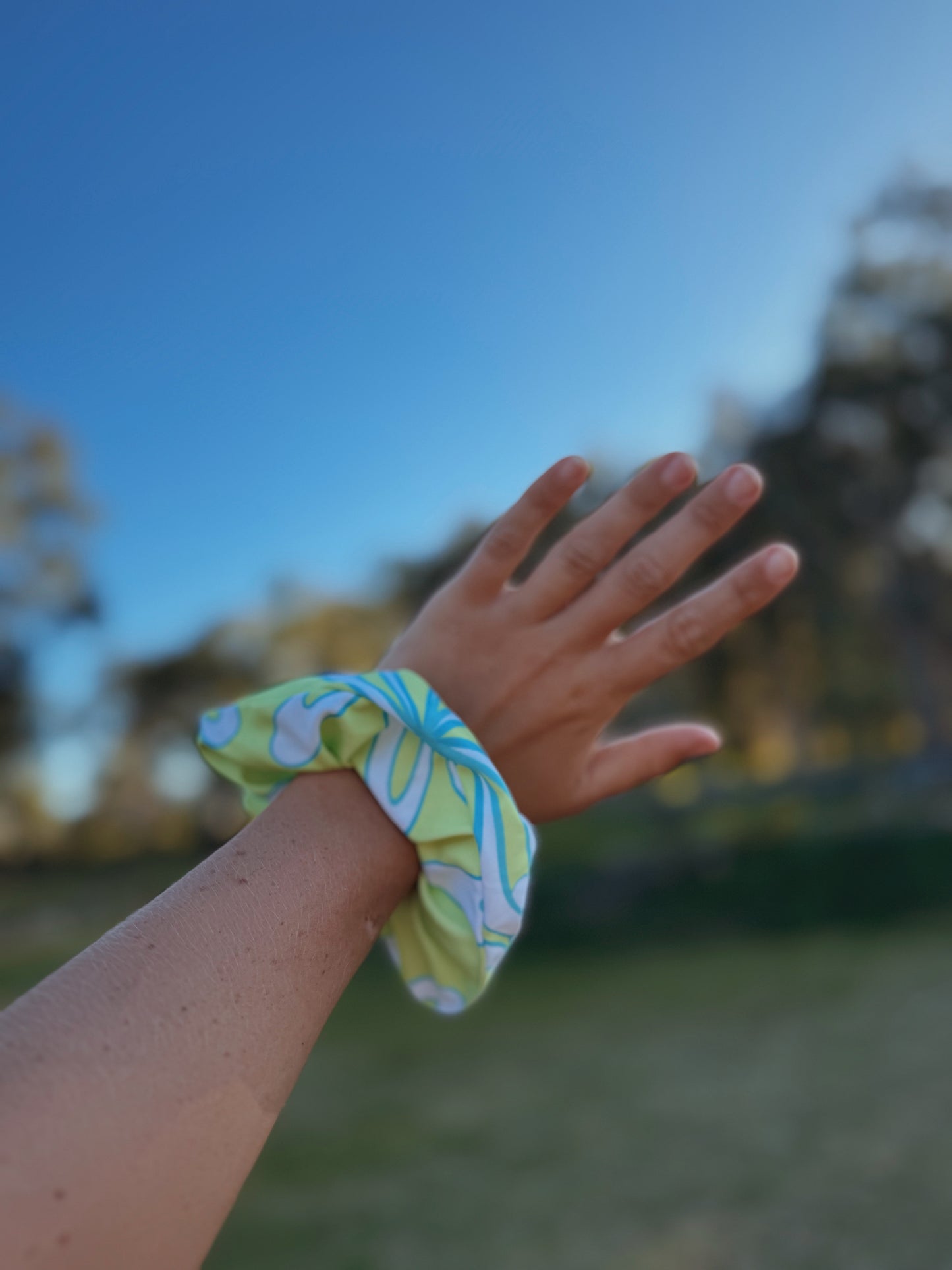 Scrunchie